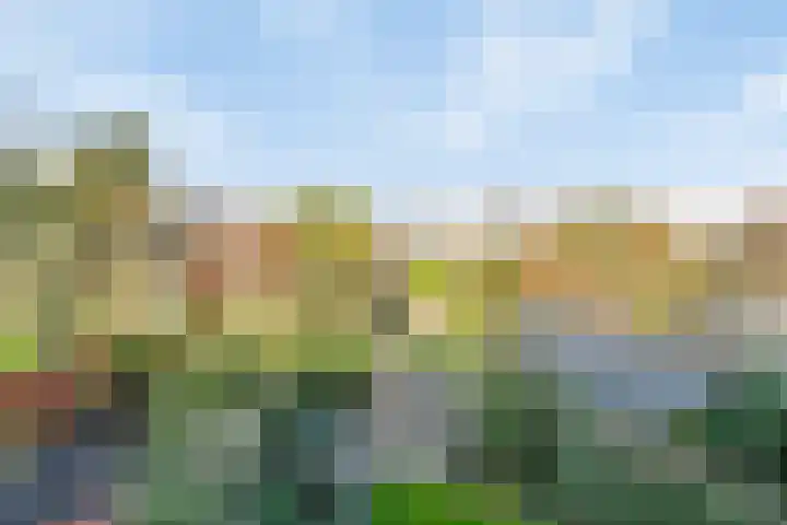 Dissel 126 IJsselstein thumbnail 32