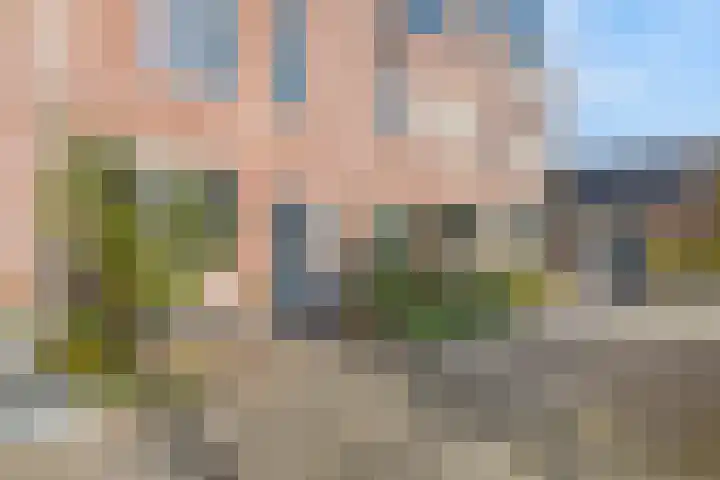 Dissel 126 IJsselstein thumbnail 37