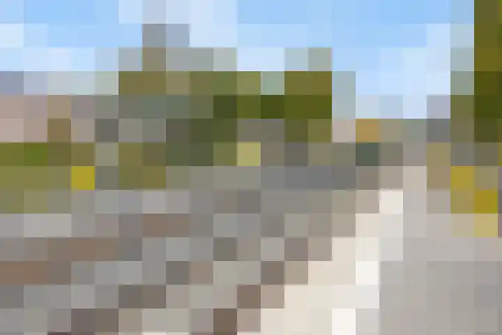 Dissel 126 IJsselstein thumbnail 41