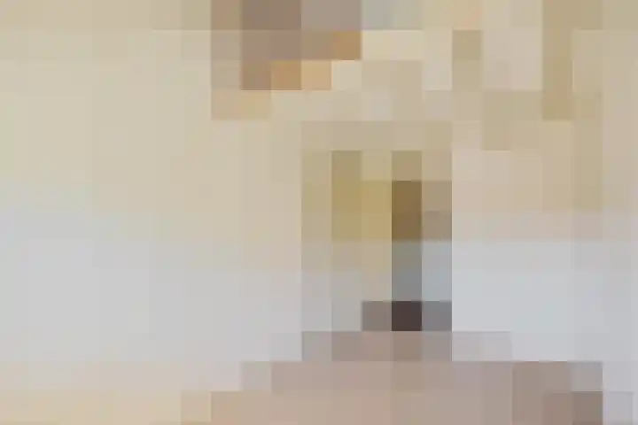 Dissel 22 Barger-Compascuum thumbnail 11