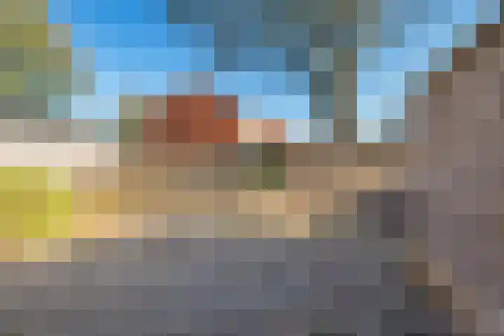 Dissel 22 Barger-Compascuum thumbnail 15