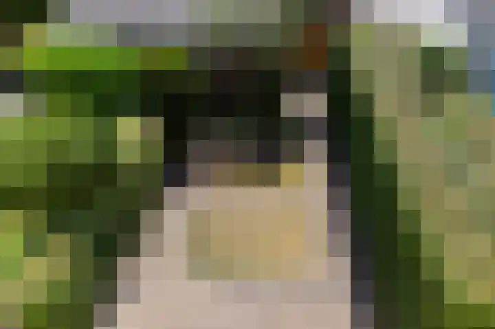 Dissel 22 Barger-Compascuum thumbnail 18