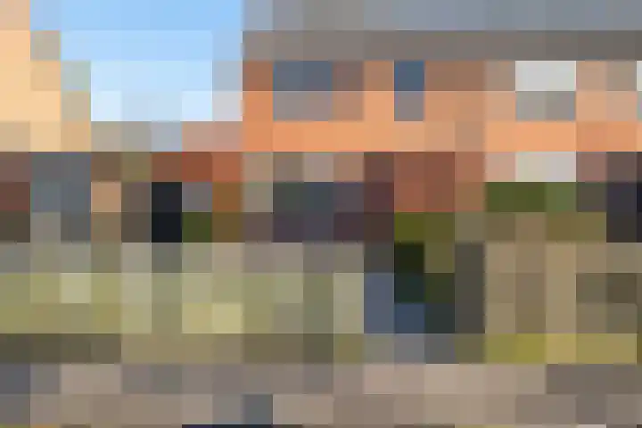 Dissel 22 Barger-Compascuum thumbnail 19