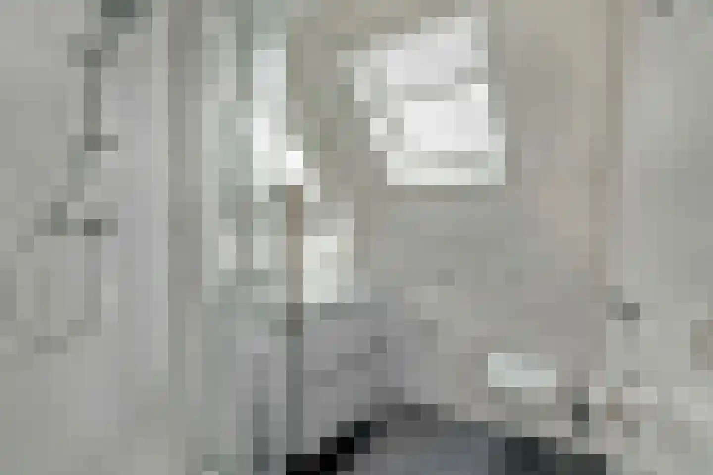 Dissel 22 Barger-Compascuum thumbnail 6