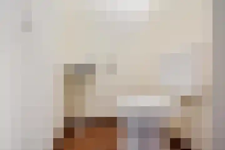 Dissel 22 Barger-Compascuum thumbnail 8