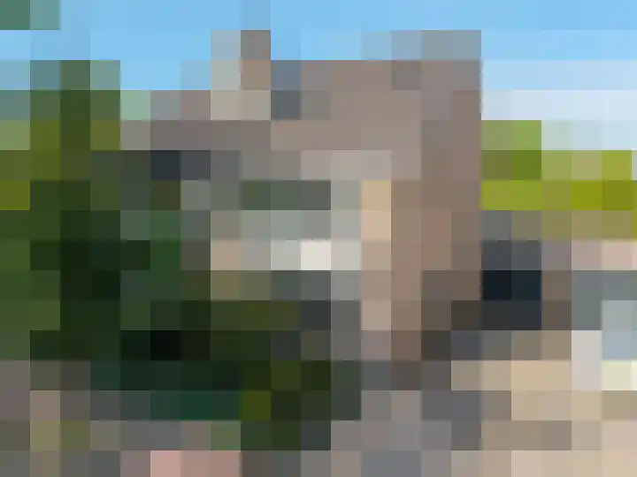 Dissel 46 Veenendaal