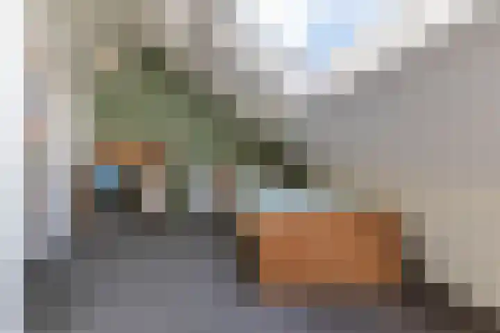 Dissel 46 Veenendaal thumbnail 34