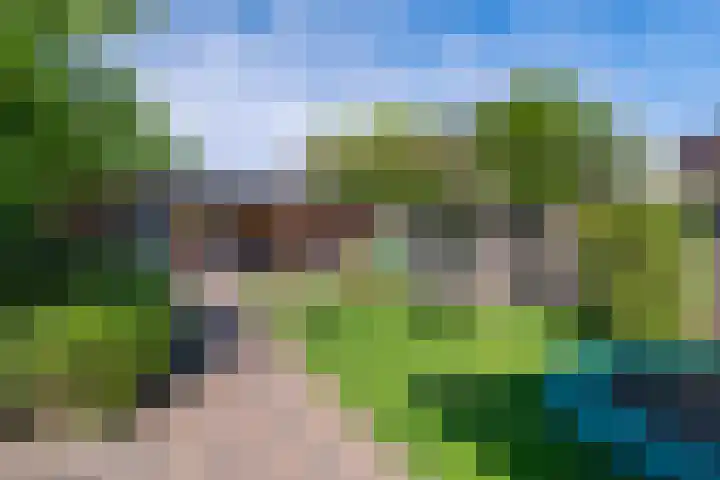 Dissel 46 Veenendaal thumbnail 39