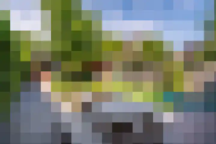 Dissel 46 Veenendaal thumbnail 40