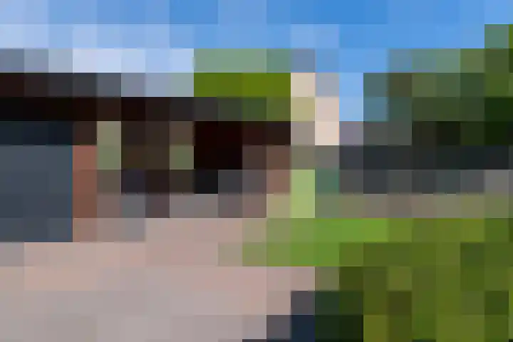 Dissel 46 Veenendaal thumbnail 41