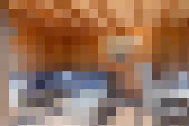 Dissel 46 Veenendaal thumbnail 43