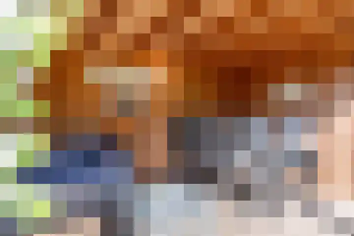 Dissel 46 Veenendaal thumbnail 44