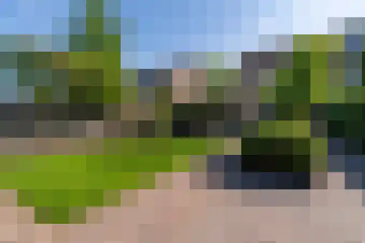 Dissel 46 Veenendaal thumbnail 45