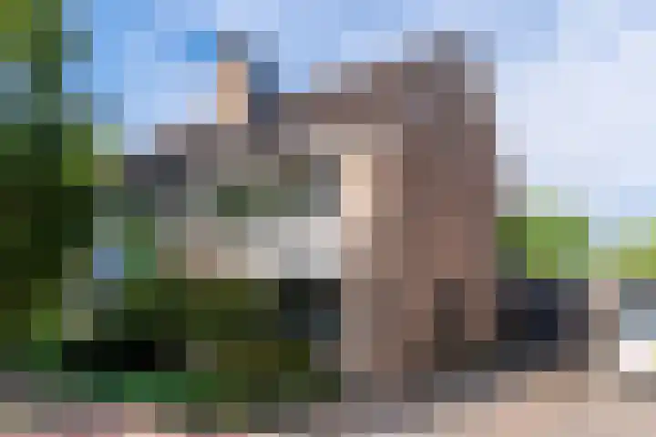 Dissel 46 Veenendaal thumbnail 47