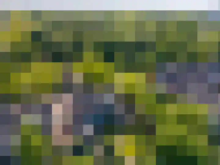 Dissel 46 Veenendaal thumbnail 49