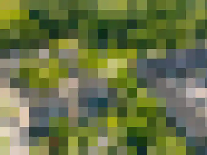 Dissel 46 Veenendaal thumbnail 50