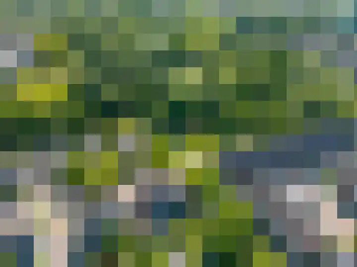 Dissel 46 Veenendaal thumbnail 51