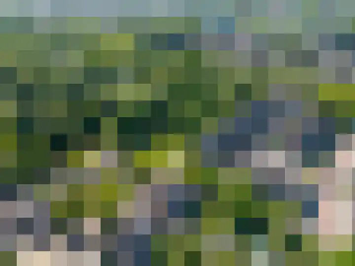 Dissel 46 Veenendaal thumbnail 52