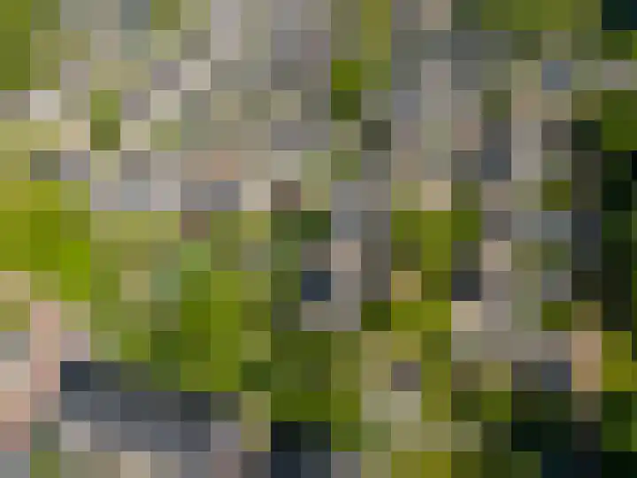 Dissel 46 Veenendaal thumbnail 56