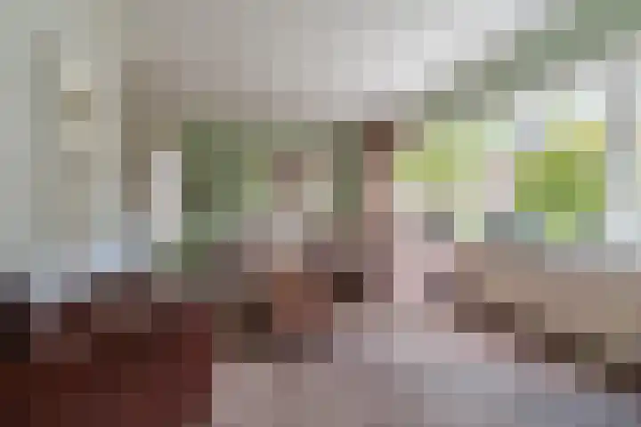 Dissel 46 Veenendaal thumbnail 6