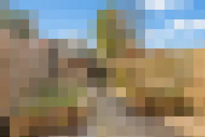Dissel 8 IJsselstein thumbnail 23