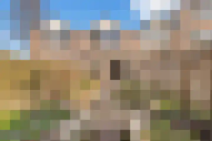 Dissel 8 IJsselstein thumbnail 27
