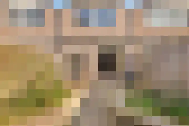 Dissel 8 IJsselstein thumbnail 30