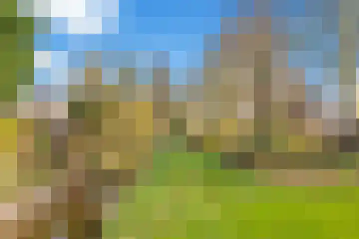 Dissel 8 IJsselstein thumbnail 44