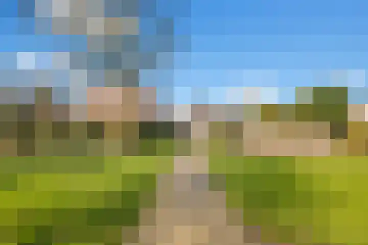 Dissel 8 IJsselstein thumbnail 46