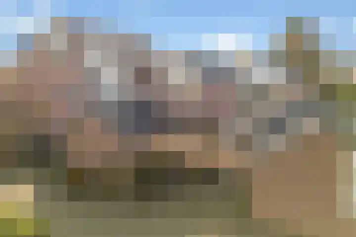 Dissel 8 IJsselstein thumbnail 5