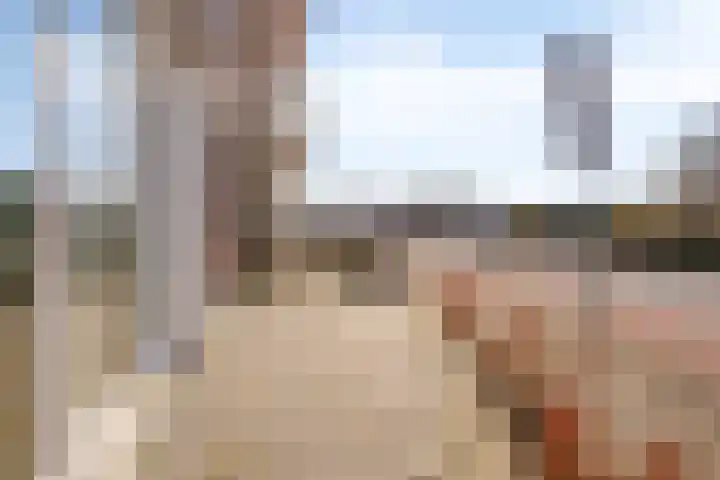 Disselhof 4 Horst thumbnail 19