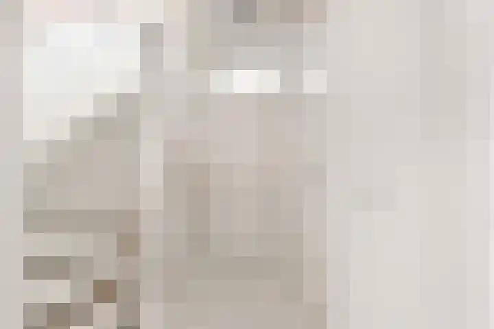 Disselkade 5 Haarlem thumbnail 39