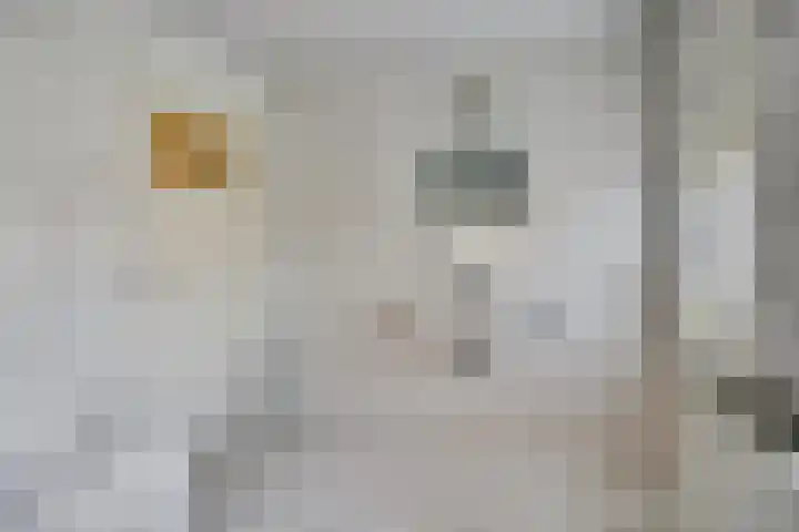 Disselsweg 71 Enter thumbnail 16