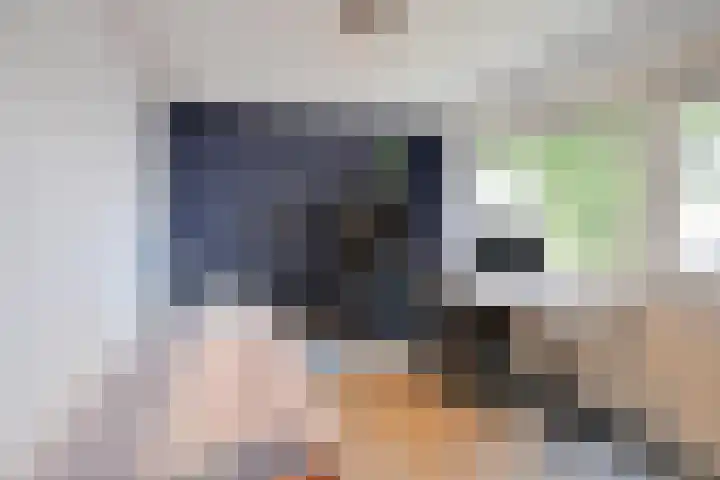 Disselweg 6 Huizen thumbnail 14