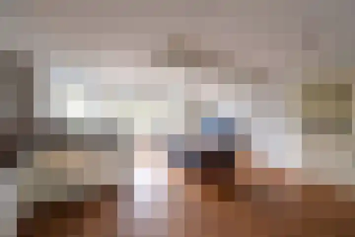 Disselweg 6 Huizen thumbnail 8