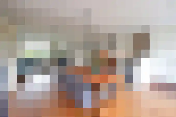 Disselweg 6 Huizen thumbnail 9