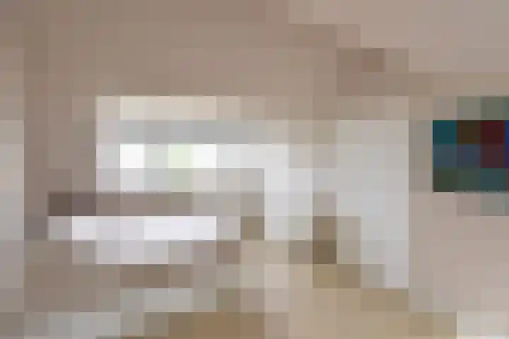 Disselweg 8 Huizen thumbnail 17