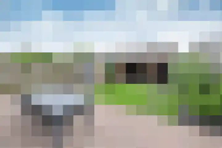 Disselweg 8 Huizen thumbnail 22