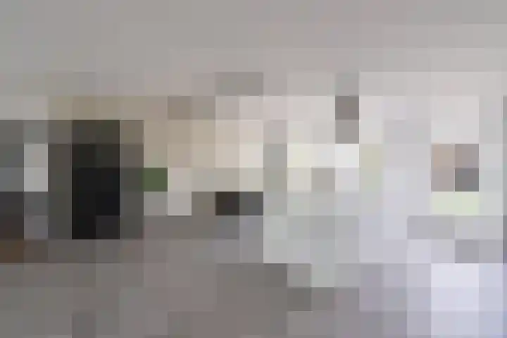 Disselweg 8 Huizen thumbnail 8