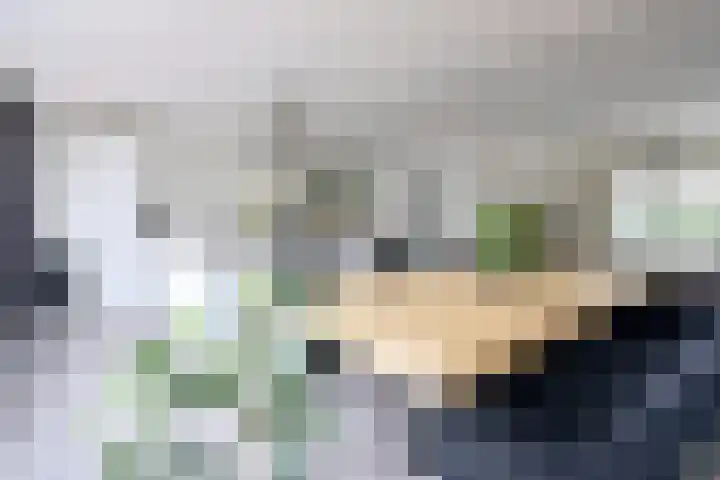 Disselweg 8 Huizen thumbnail 9