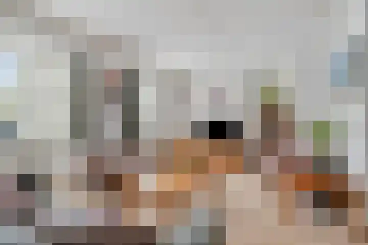 Distel 7 Best thumbnail 10