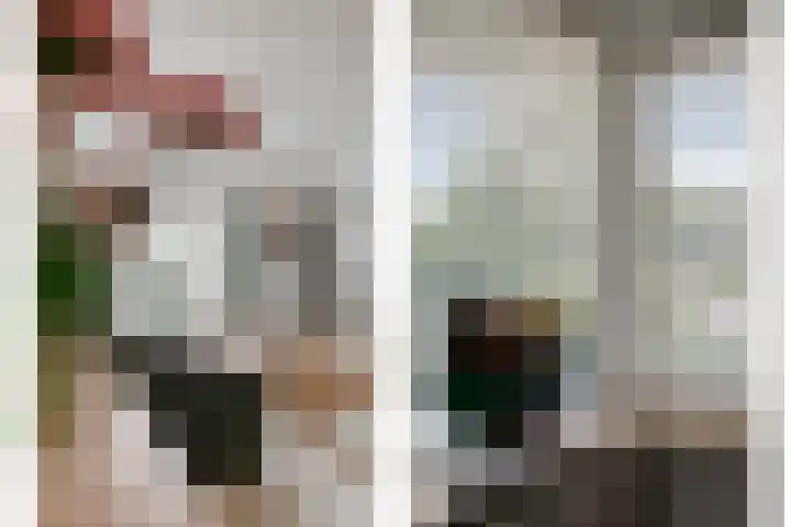 Distel 7 Best thumbnail 13
