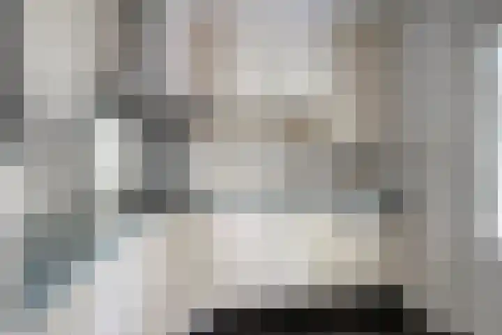 Distel 7 Best thumbnail 15