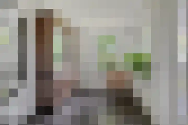 Distel 7 Best thumbnail 16