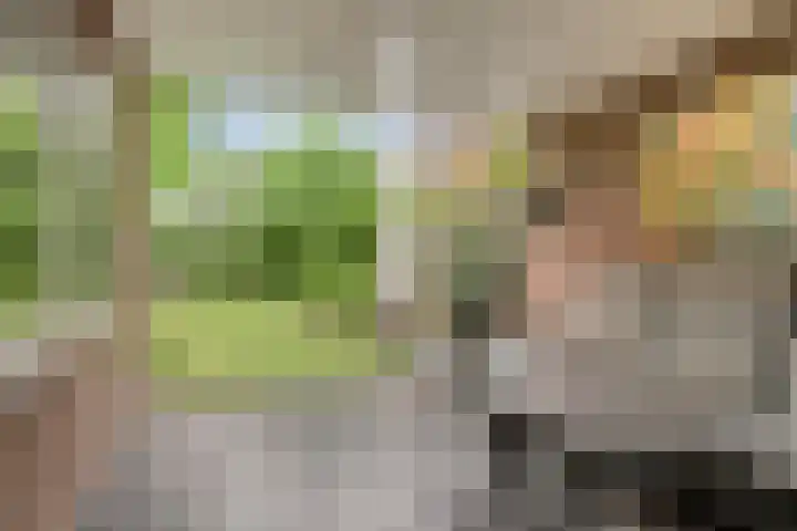 Distel 7 Best thumbnail 17