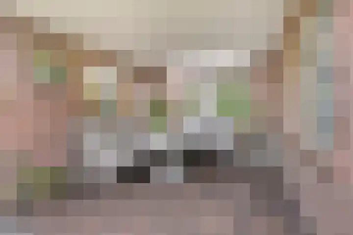 Distel 7 Best thumbnail 18