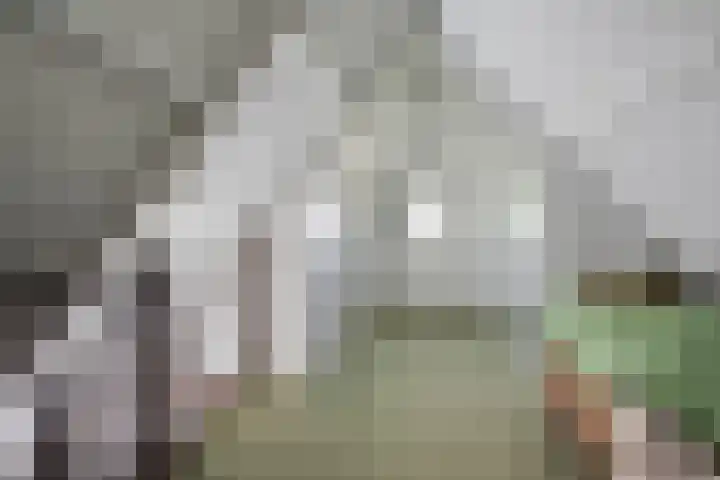 Distel 7 Best thumbnail 27