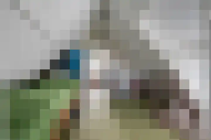 Distel 7 Best thumbnail 28
