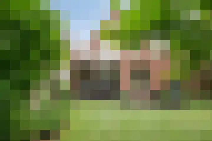 Distel 7 Best thumbnail 31