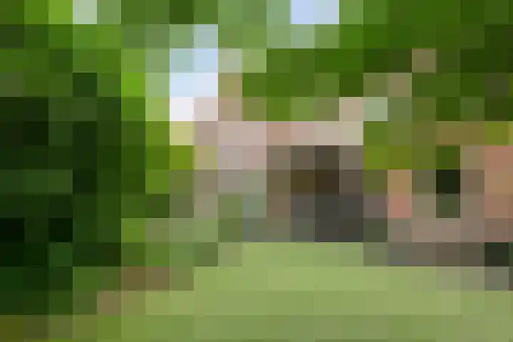 Distel 7 Best thumbnail 32